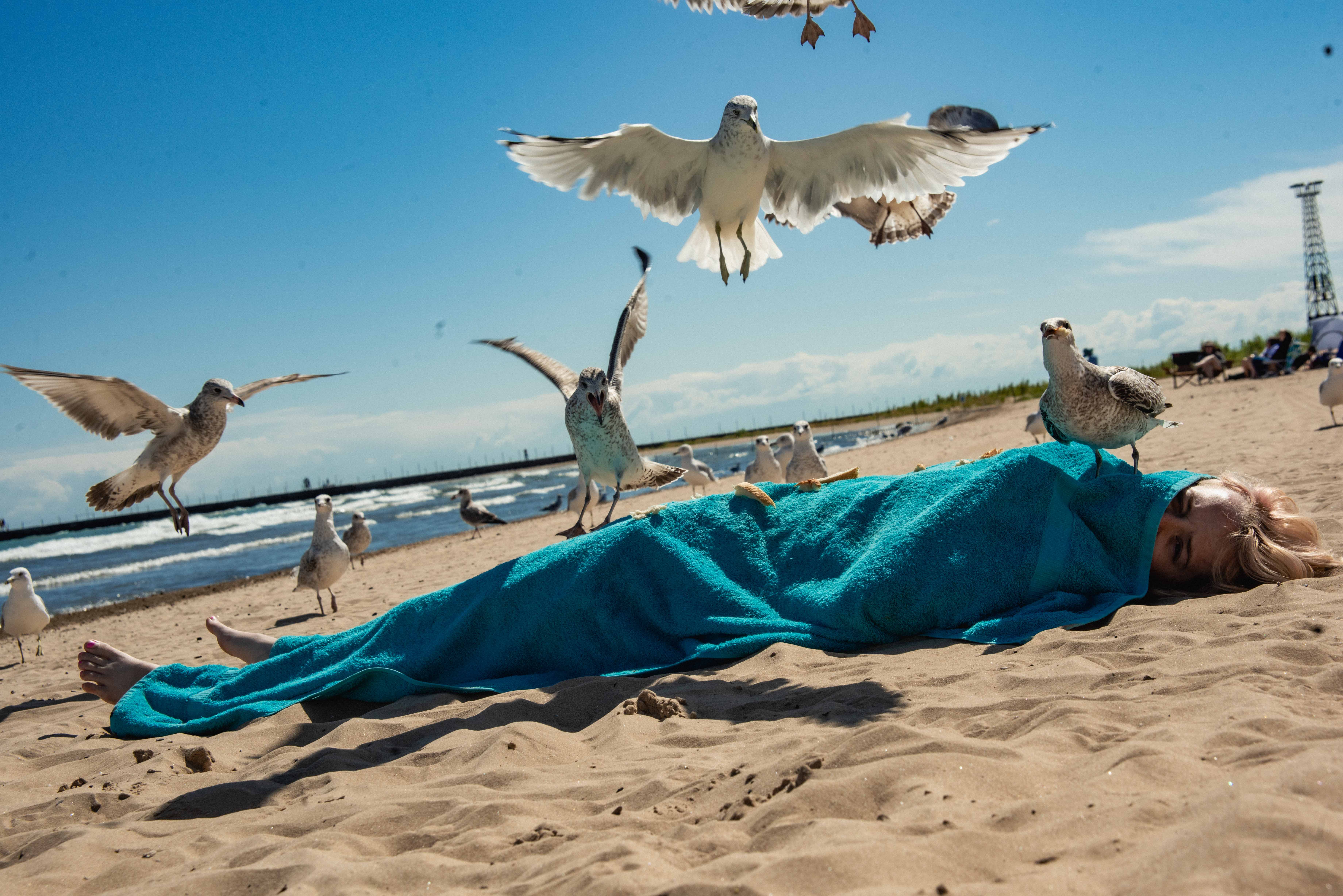 Real Time with Rocco Meo promo image 7